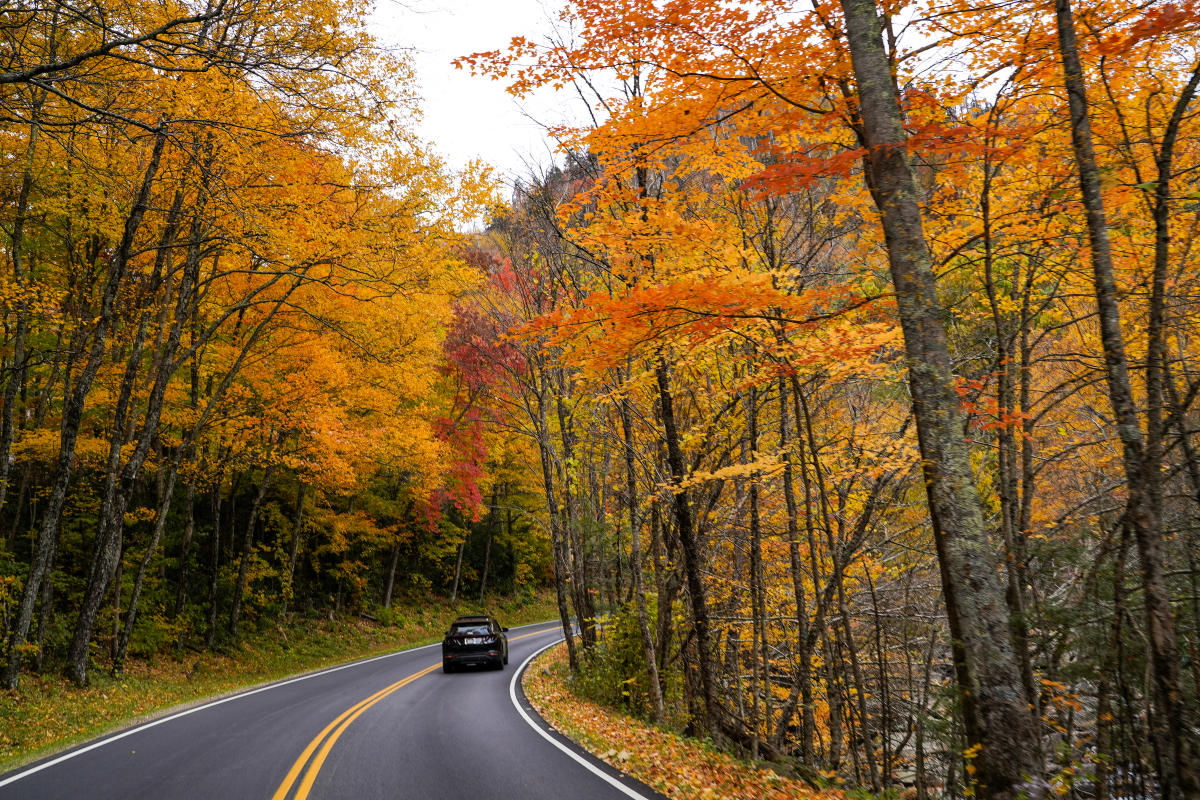 Fall driving smokies