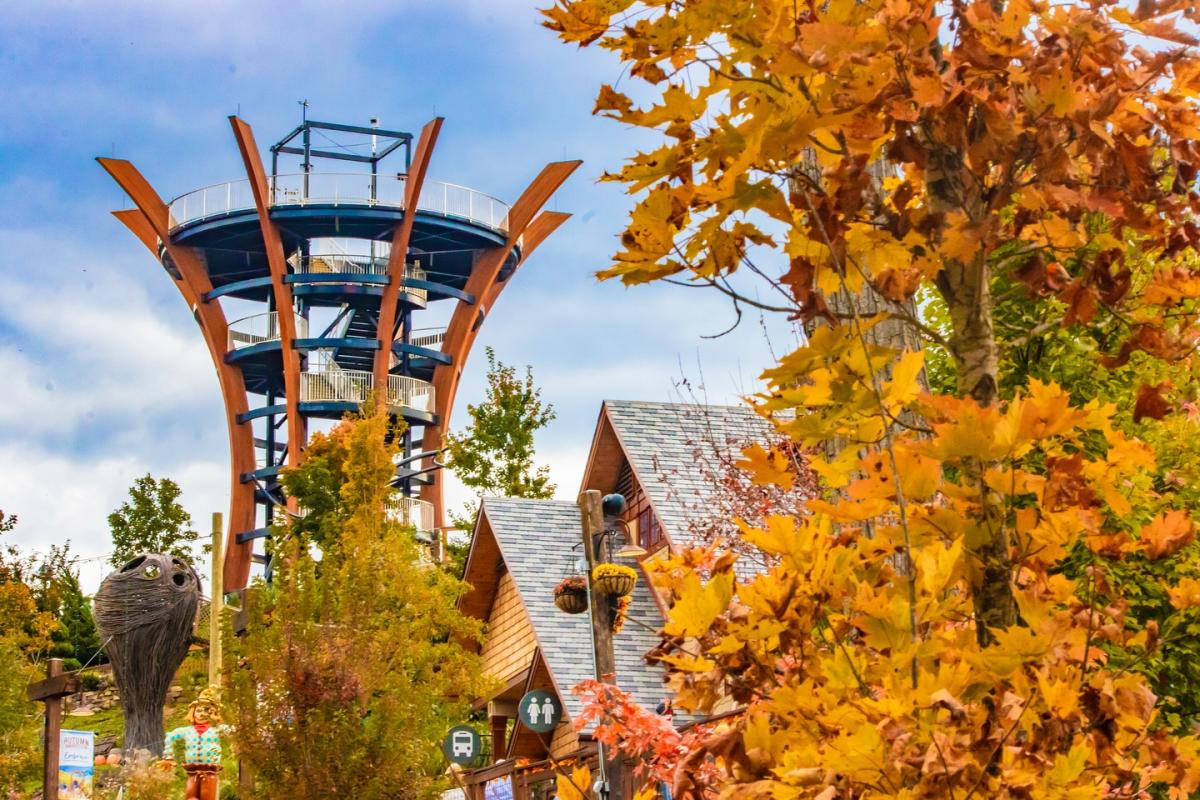 Anakeesta fall attraction