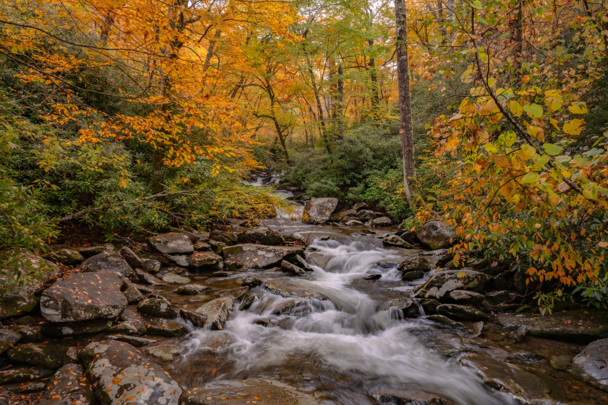 cascades in the fall