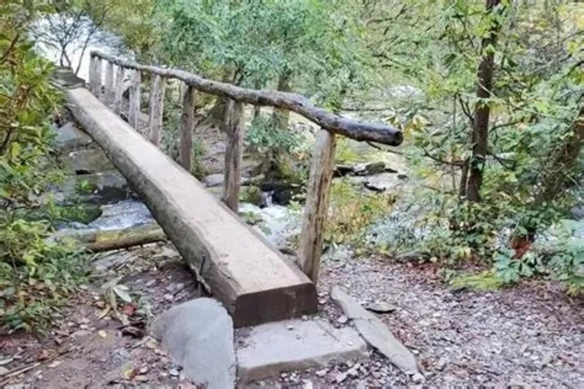 abrams footlog gsmnp