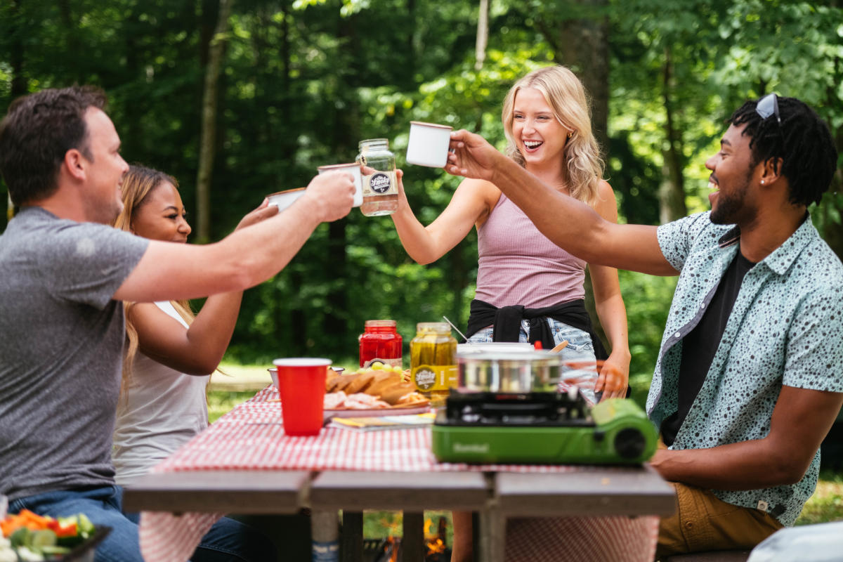 friends at picnic