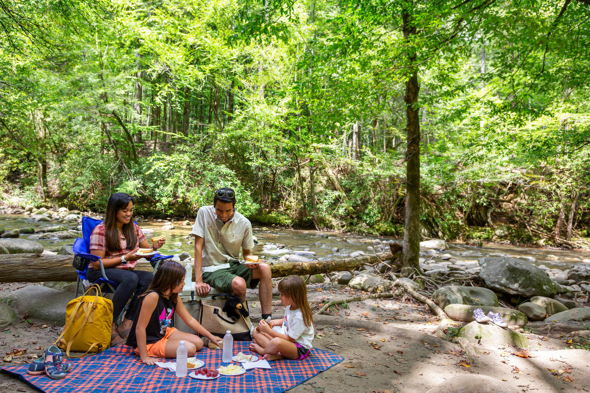 Picnic in Great Smoky Mountains