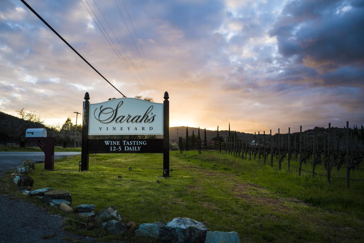 Sarahs Vinyard