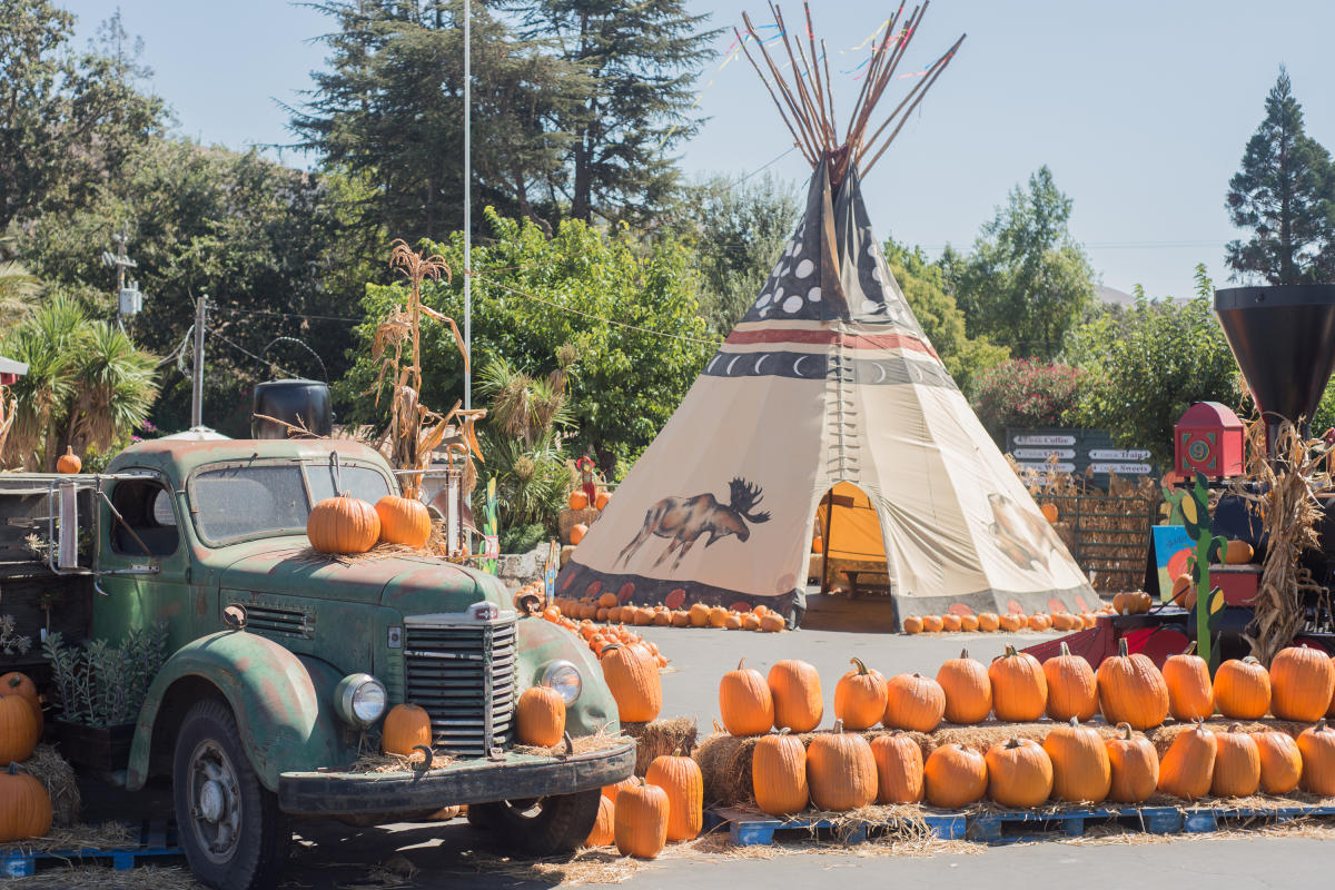 Casa de Fruta Pumpkin Junction