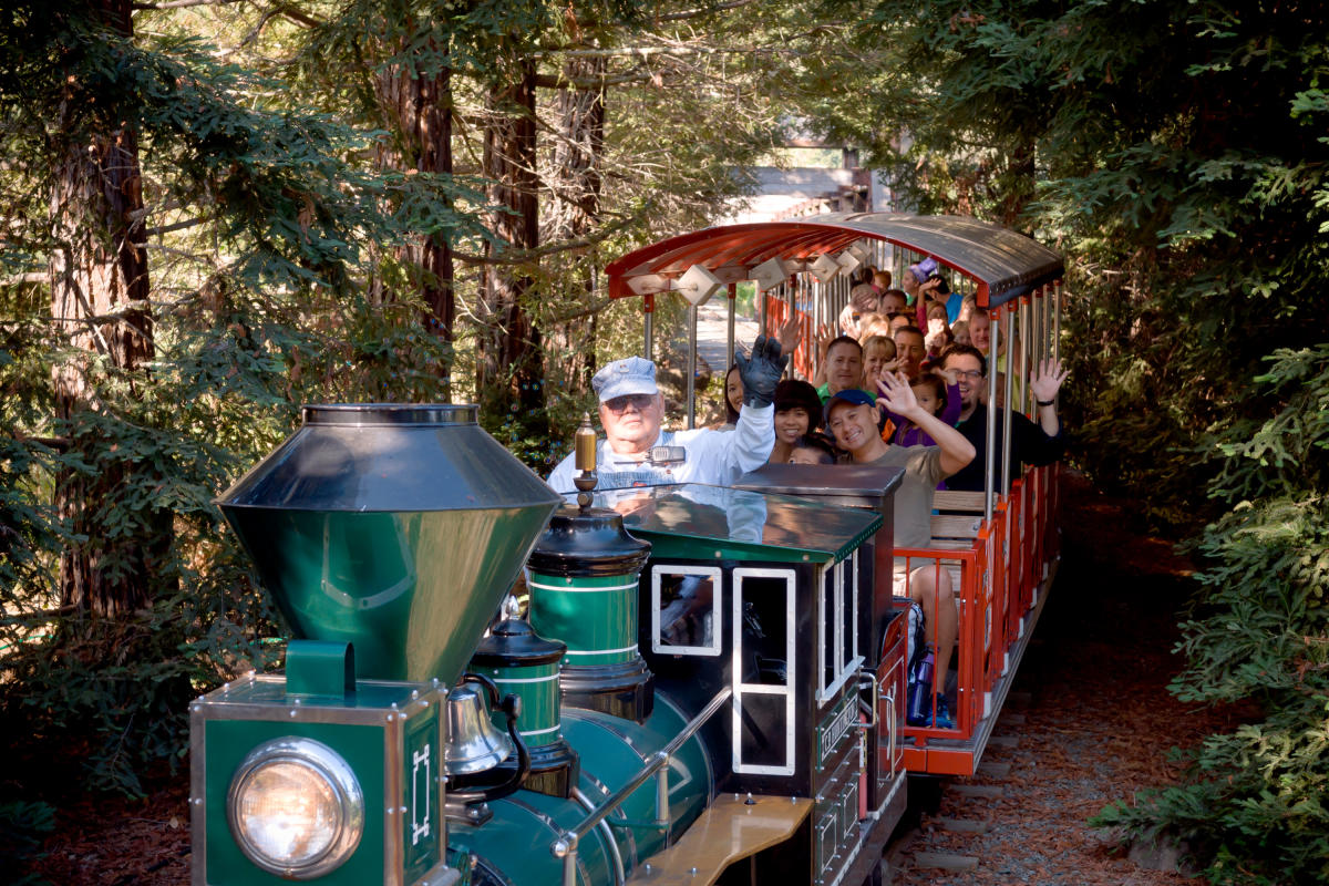 Train