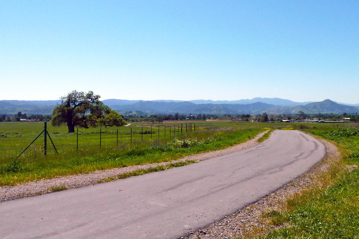 Martin Murphy Trail