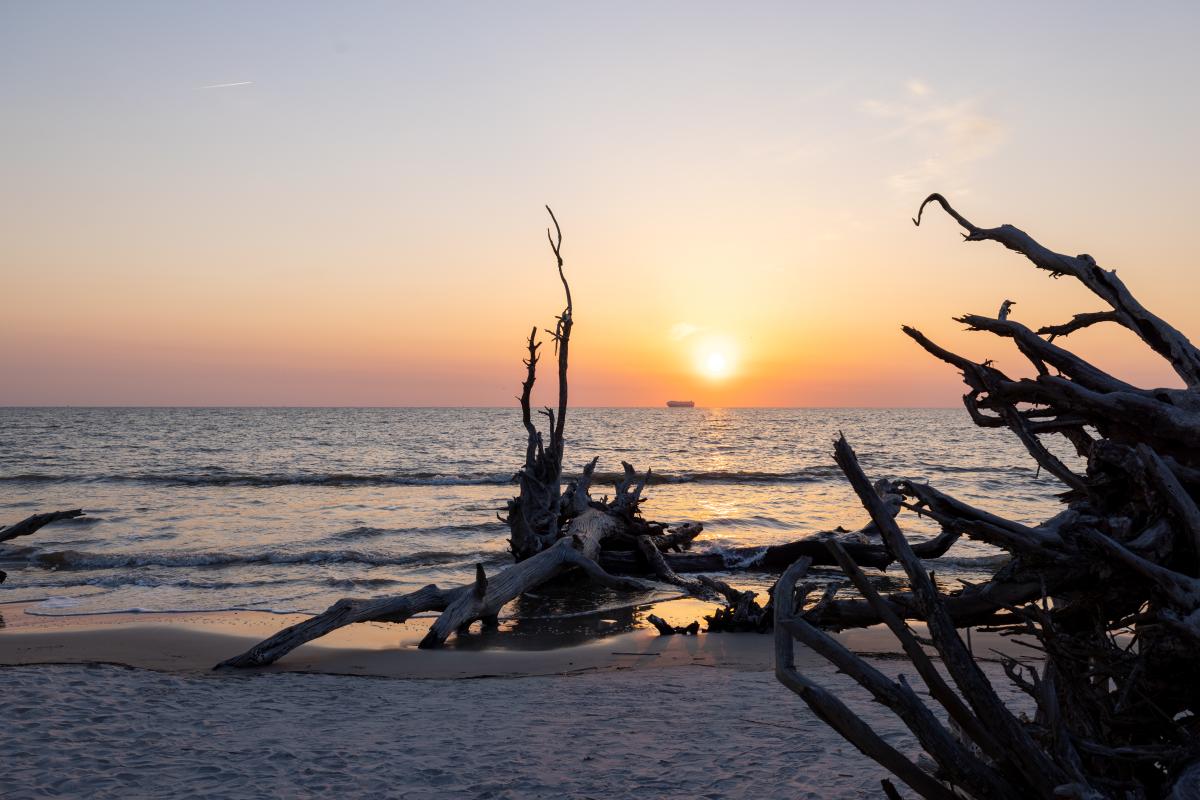 Weekly Beach Yoga Sessions on St. Simons Island — east beach yoga