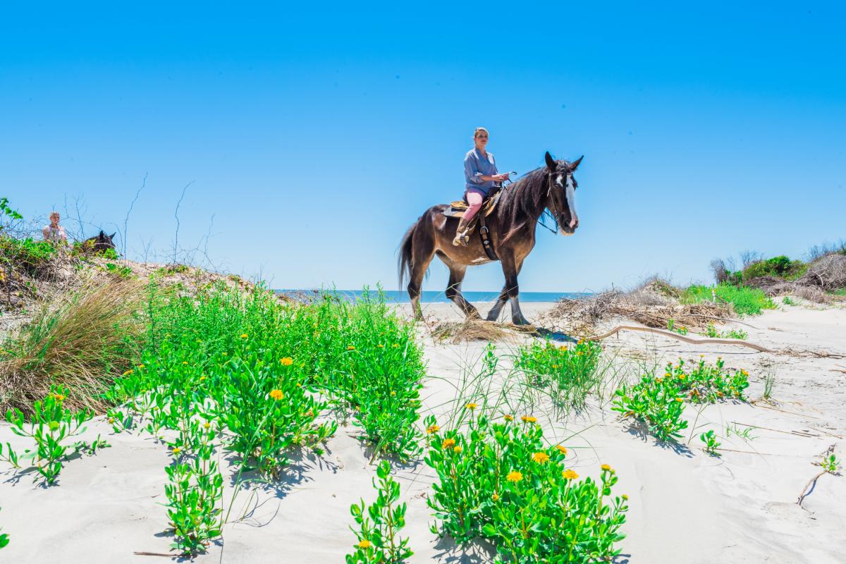 Woman horseback riding on the beach