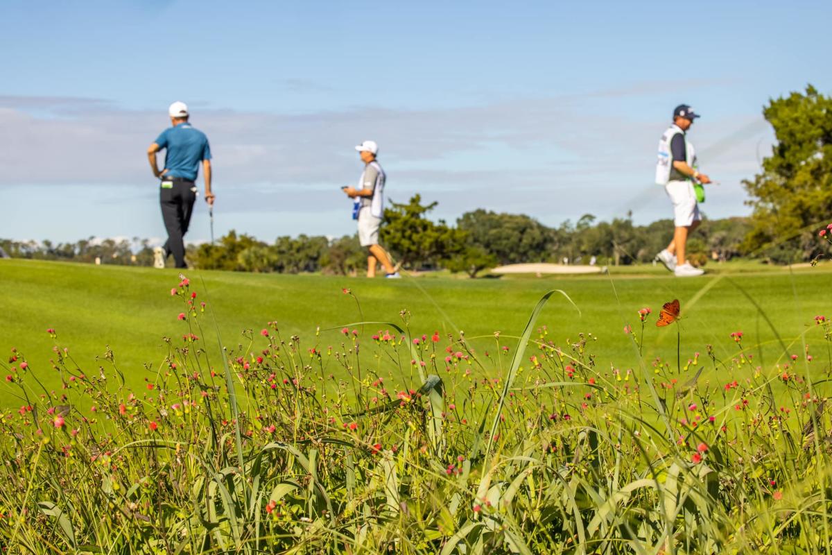 Players and caddies review a shot during tournament play at the RSM Classic at Sea Island Golf Club.