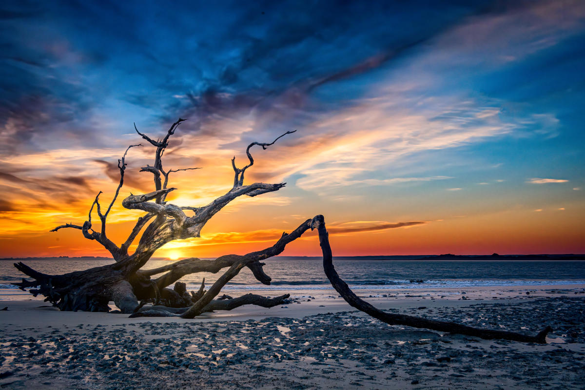 Driftwood Beach Sunrise
