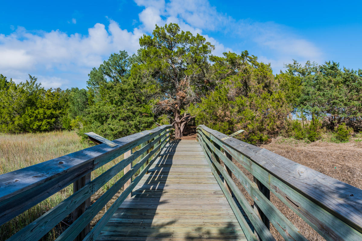 A wooden boardwalk connects the Earth Day Nature Trail across the marsh in Brunswick, Georgia