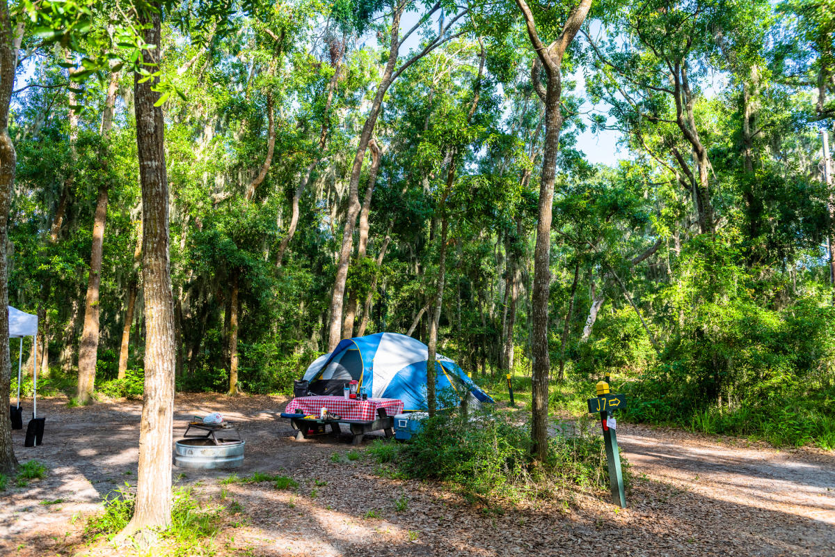 Camping on Jekyll Island