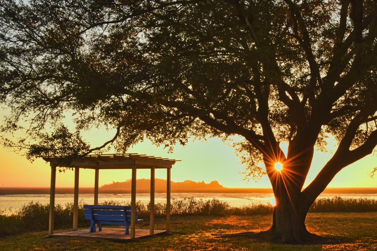 Gazebo By A Tree During A Sunset At The Marshes of Glynn In Brunswick, GA