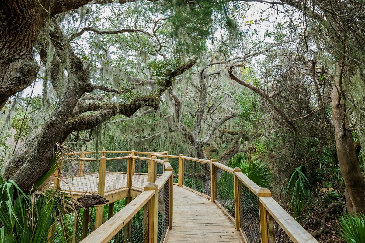 Jekyll Island Nature Trail in Golden Isles