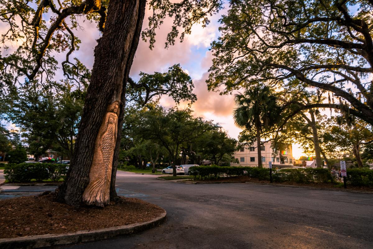 Hand-carved faces adorn many trees around St. Simons Island and are lovingly called the St. Simons Island Tree Spirits