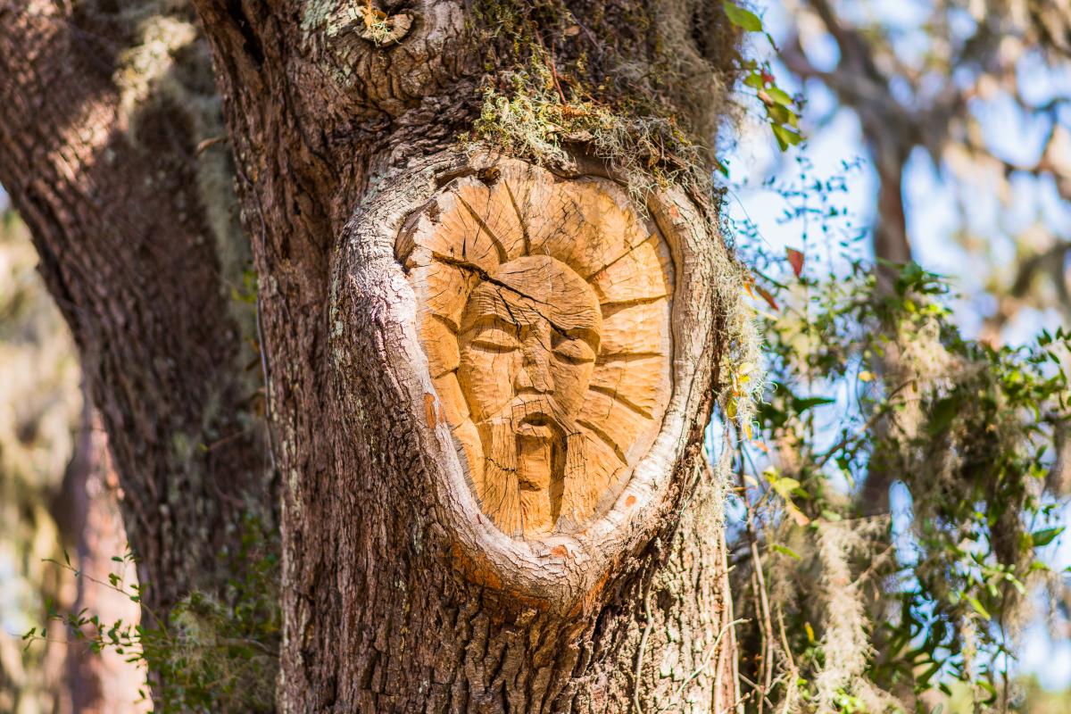 One of the famous and mysterious St. Simons Island Tree Spirits