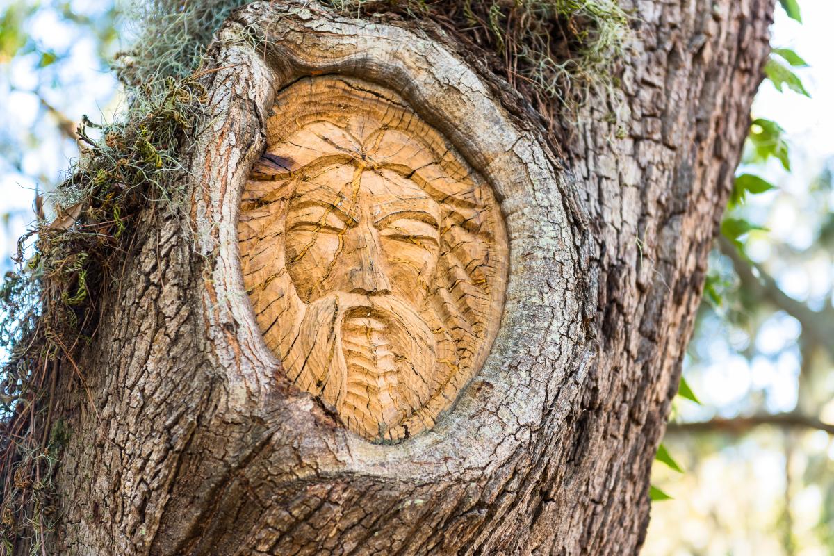 Tree Spirit wooden carvings at Mallery Street