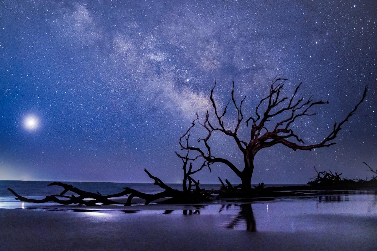 Driftwood Beach Stars