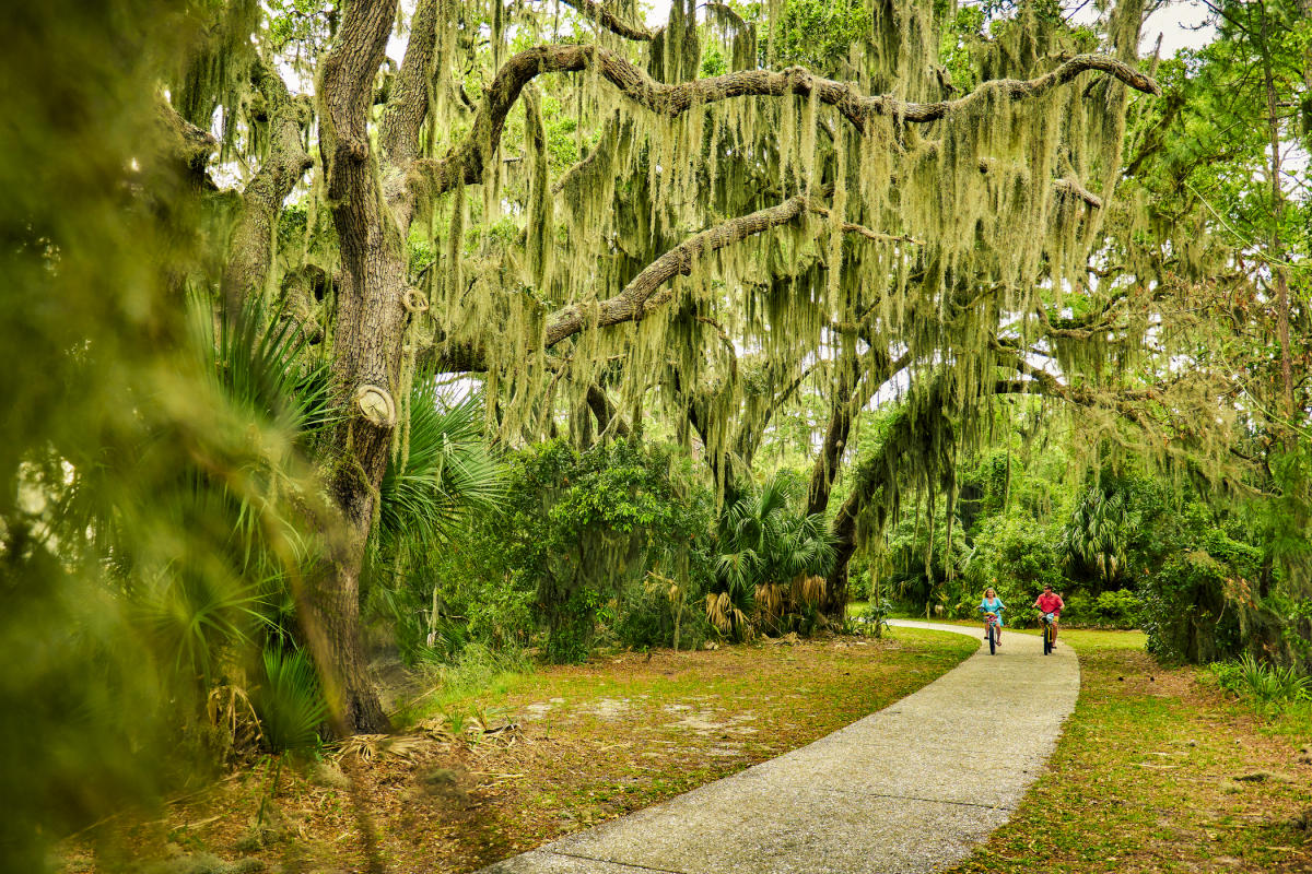 A couple rides their bikes along the oak-lined bike paths on Jekyll Island, GA