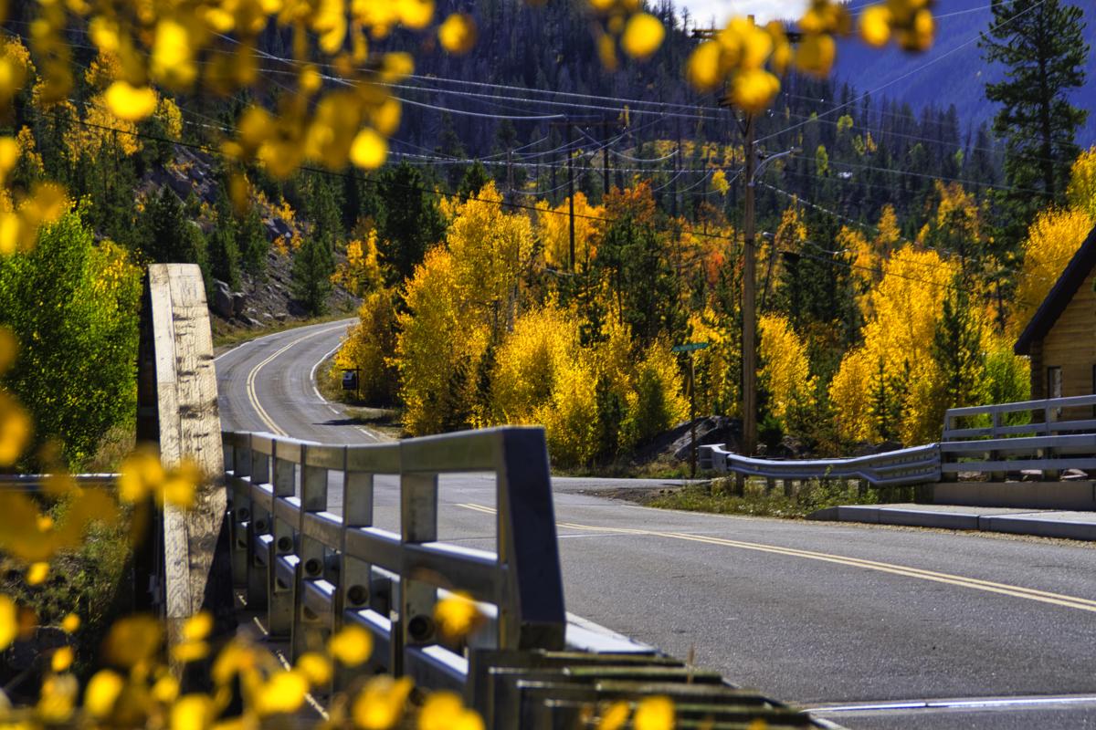 Road over bridge in the fall