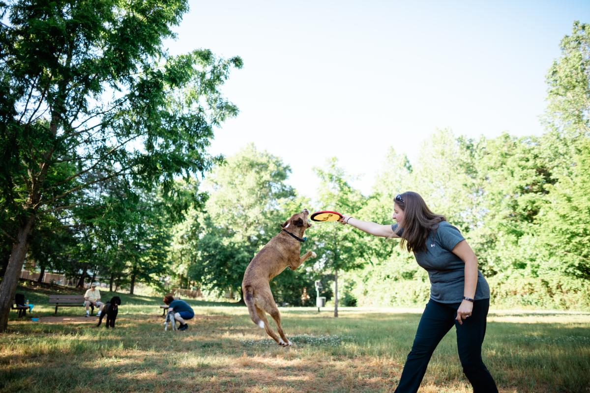 St. Stephens Park & Dog Park