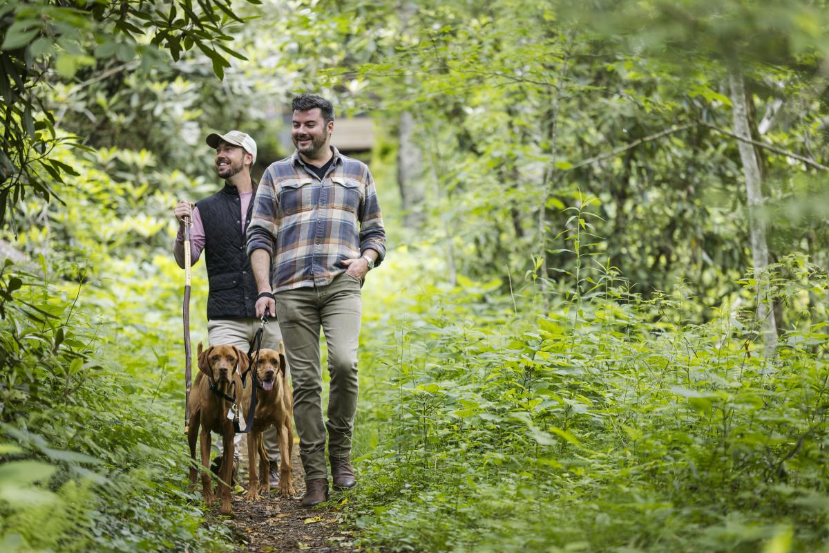hikingwithdogs