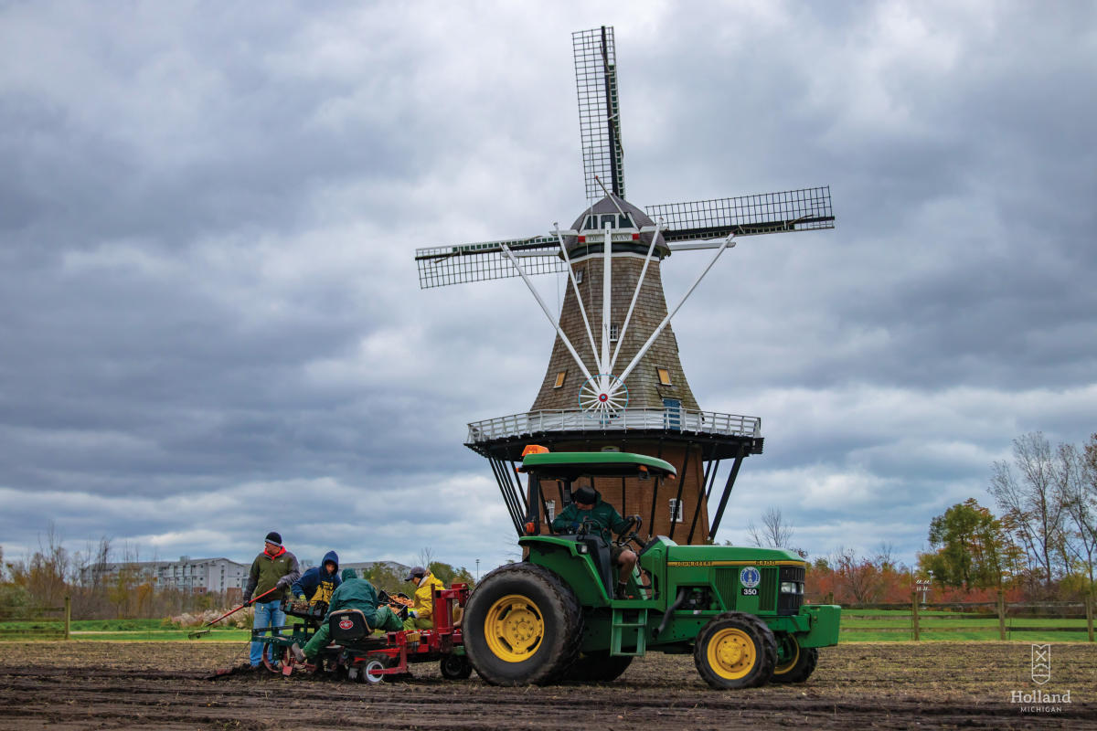 Tulip Planting at WIG