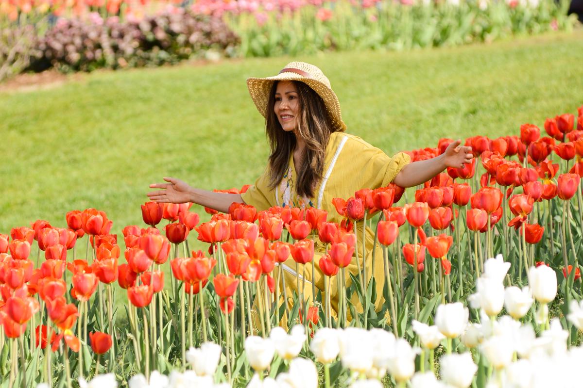 WOW Tulips with lady
