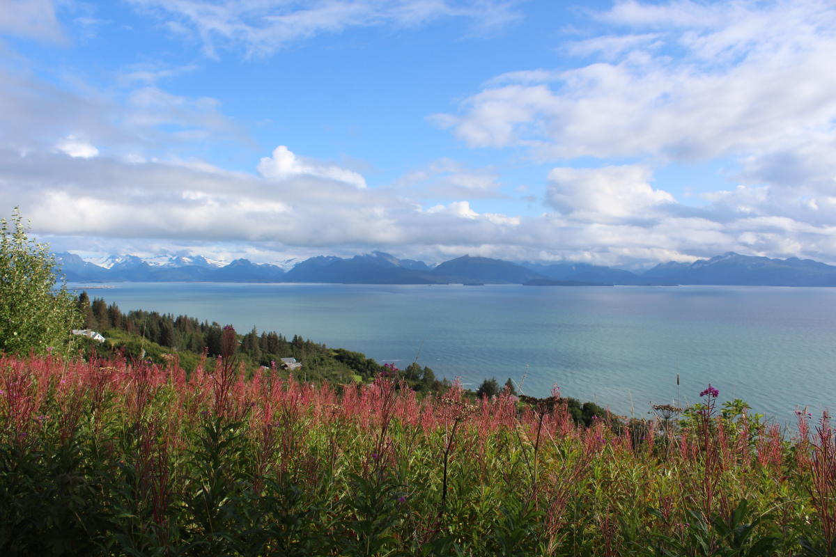 A view looking down over Kachemak Bay and the Homer Spit in the fall.