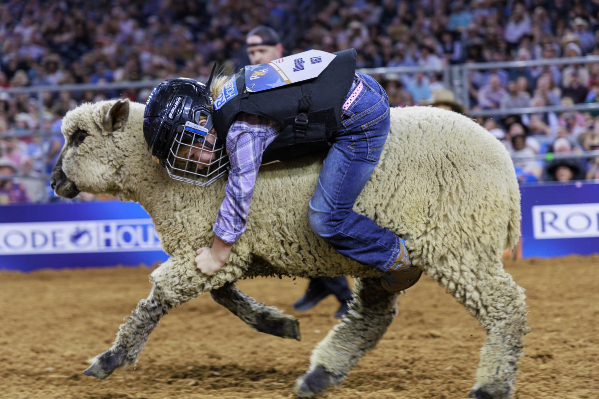 Houston Livestock Show and Rodeo