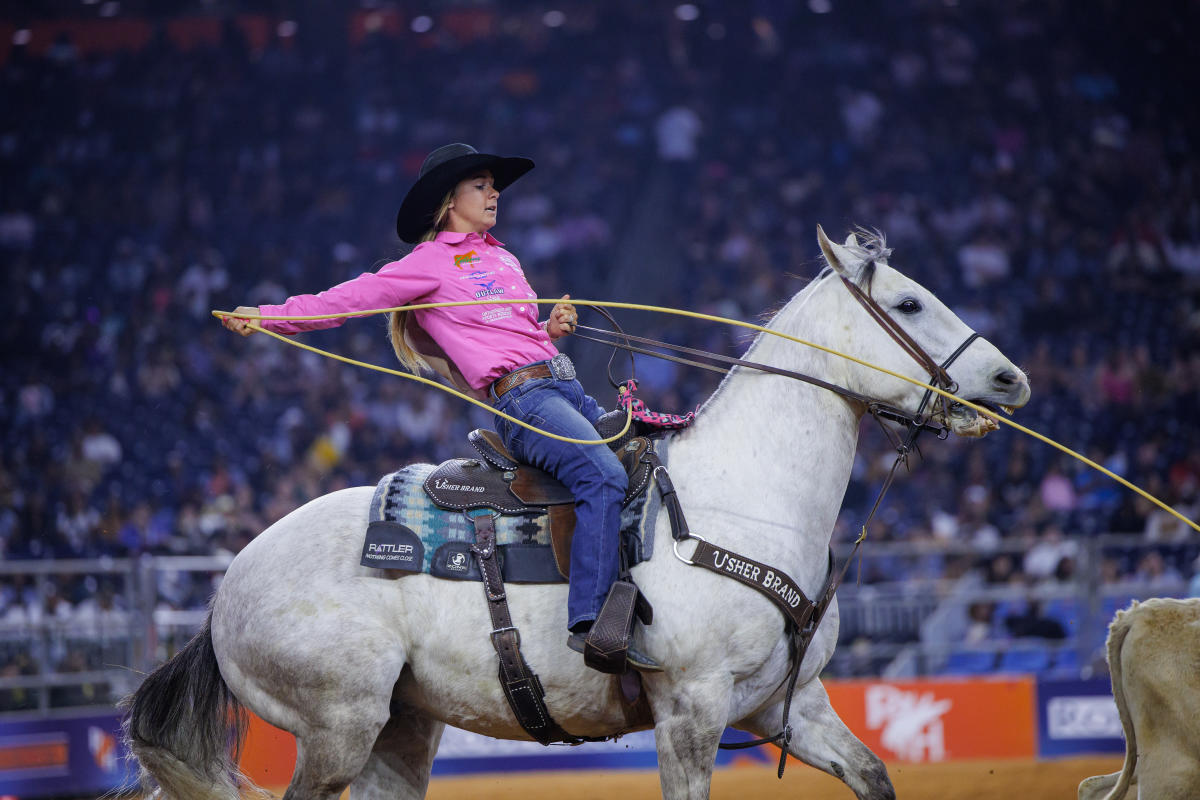 Houston Livestock Show and Rodeo