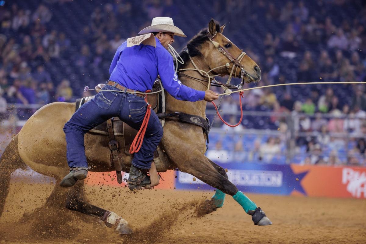 Houston Livestock Show and Rodeo