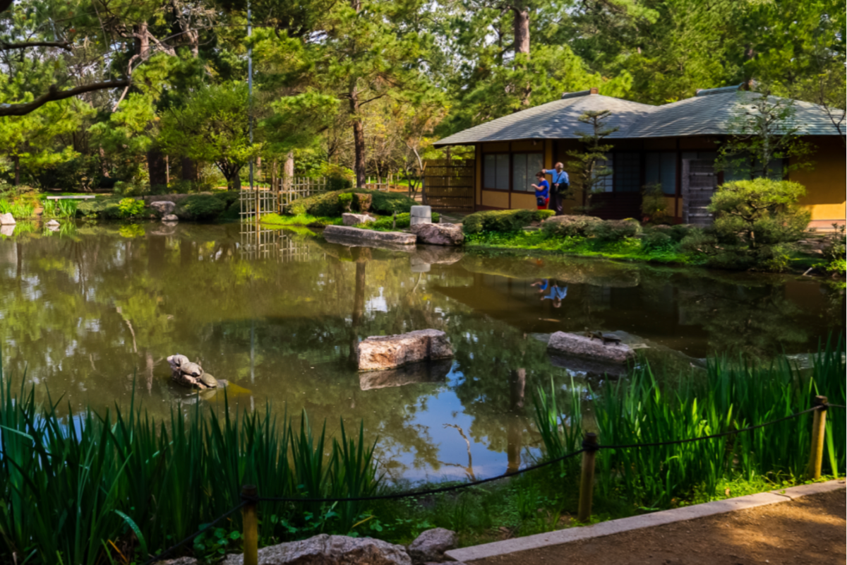 Japanese Garden