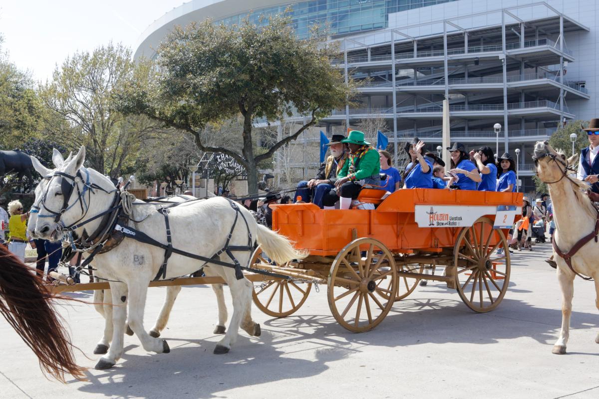 Houston Livestock and Rodeo
