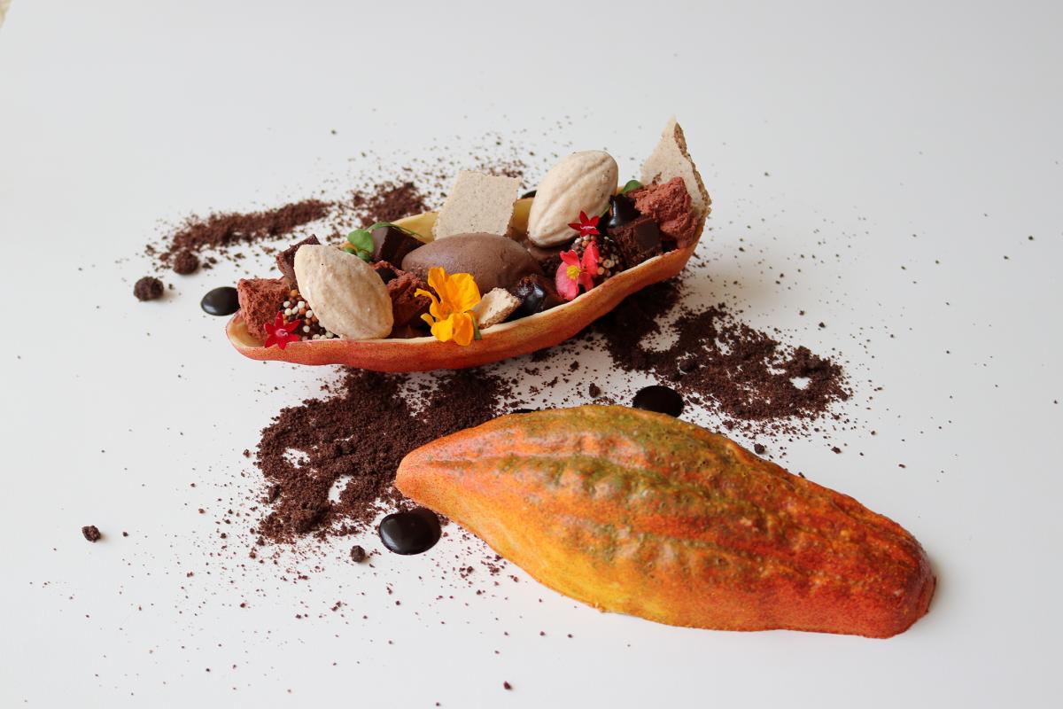 Xochi Cacao