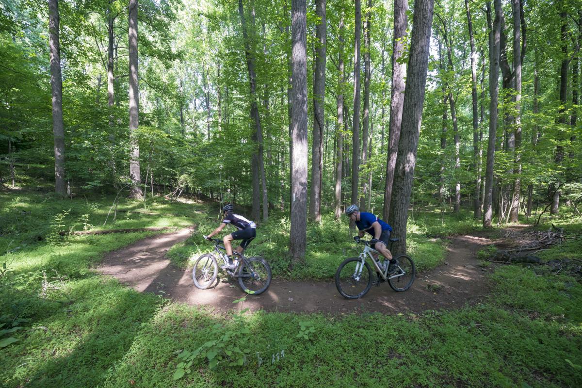 2 people biking through Patapsco State Park