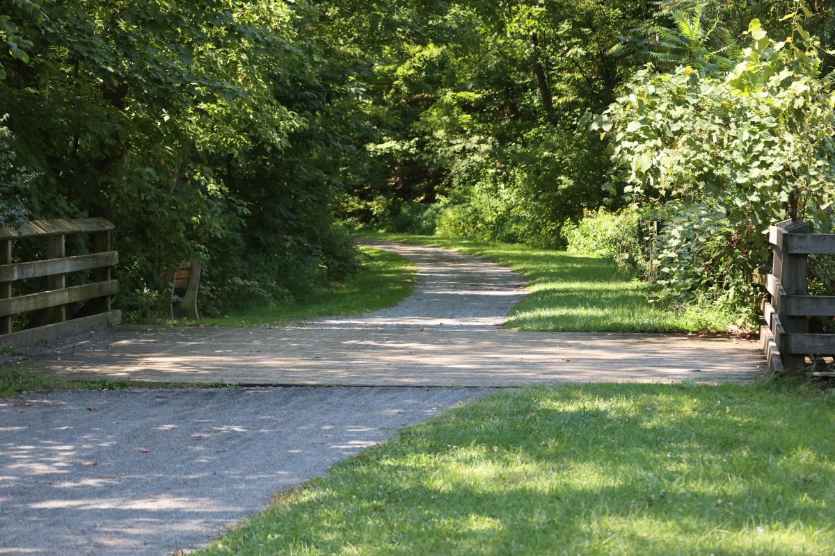 9-11 Trail - The Lower Trail