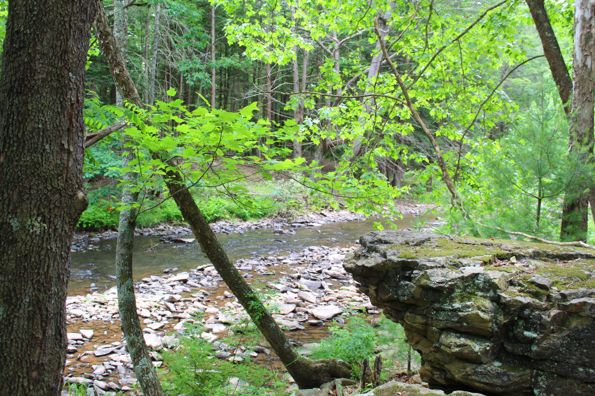 Trough Creek State Park