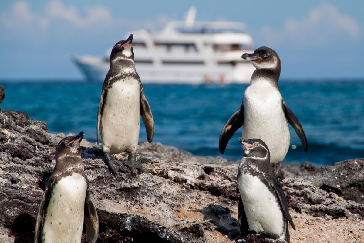 The Galapagos Islands: Sail away with pride