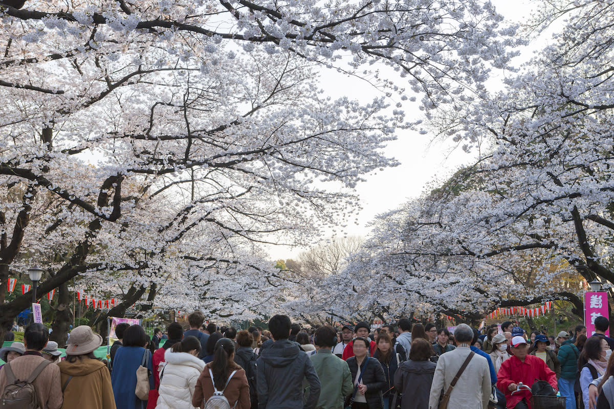 Ueno Onshi Park