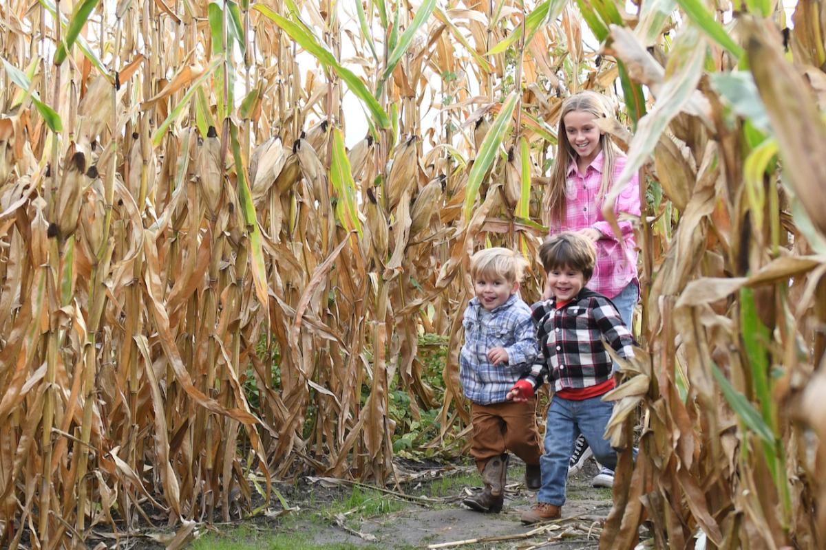 Hogan Farms | Hendricks County Fall