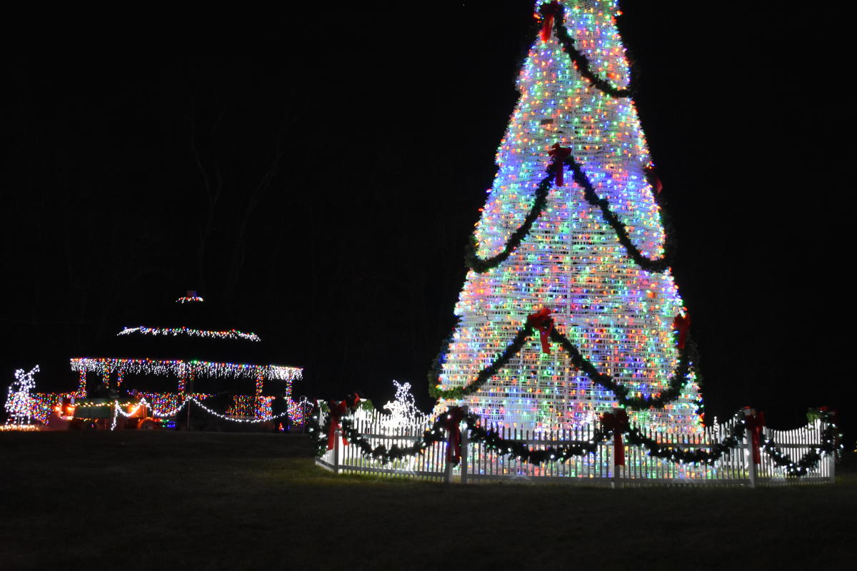 Charlestown: Christmas City Tree SoIN