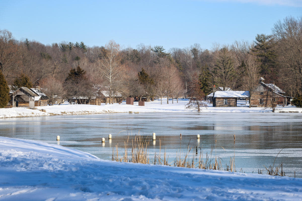 Fowler Park Christmas Walk