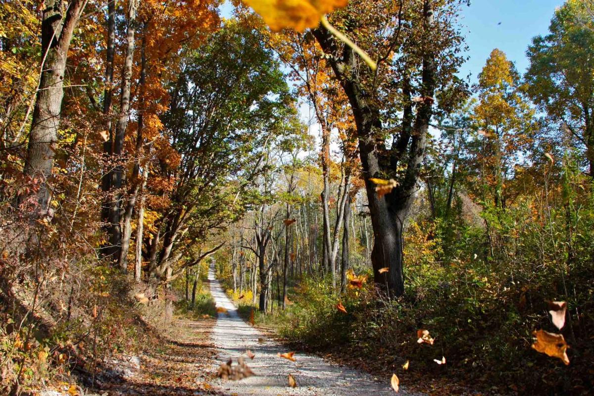 Indiana-Dunes-fall-26394-copy-2