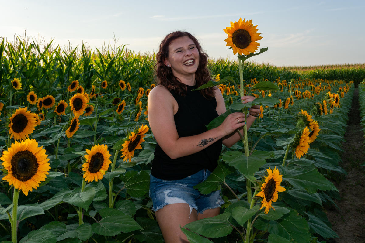 Barn at Helm sunflower field