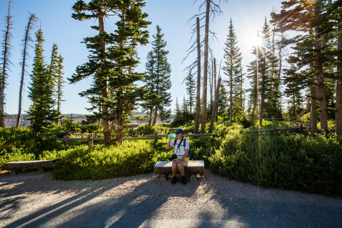 A person drinking from a teal water bottle sitting on a bench at Cedar Breaks National Monument with green vegetation and pine trees behind them