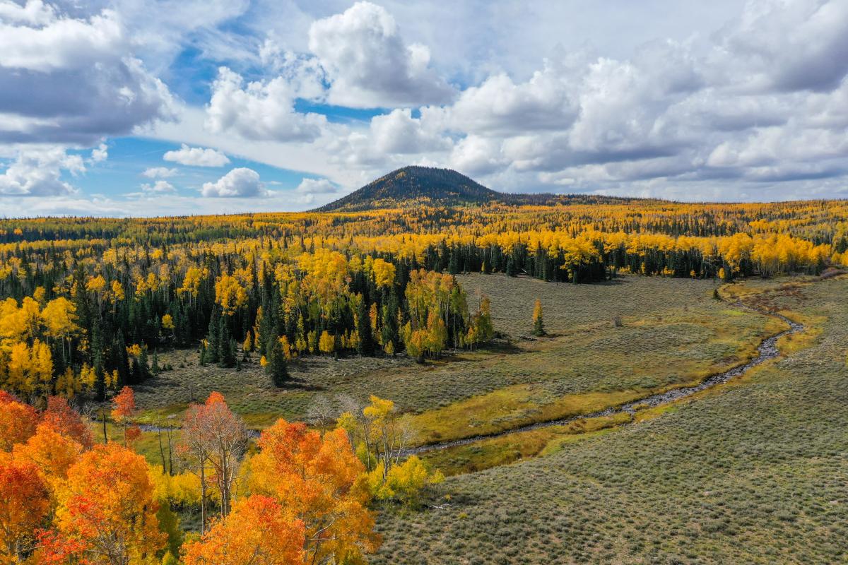 Sydney Valley (Fall Color)