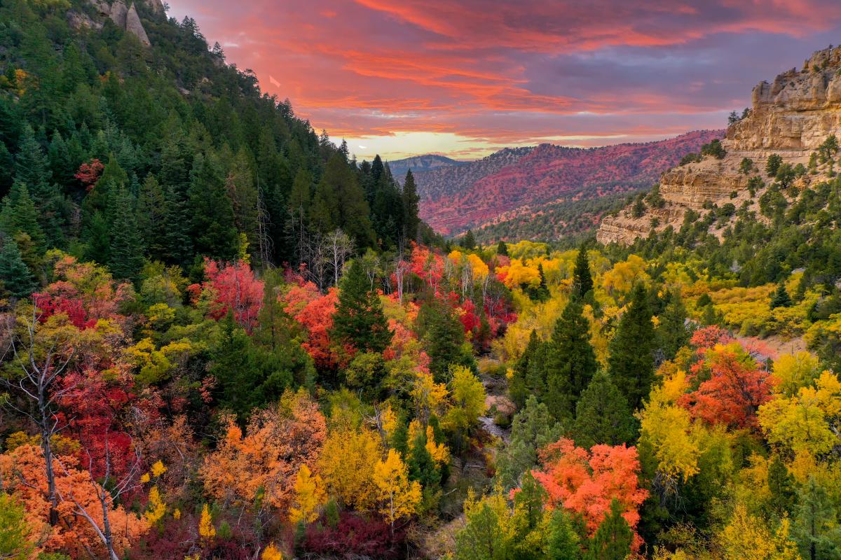 Yankee Meadow Road in Fall