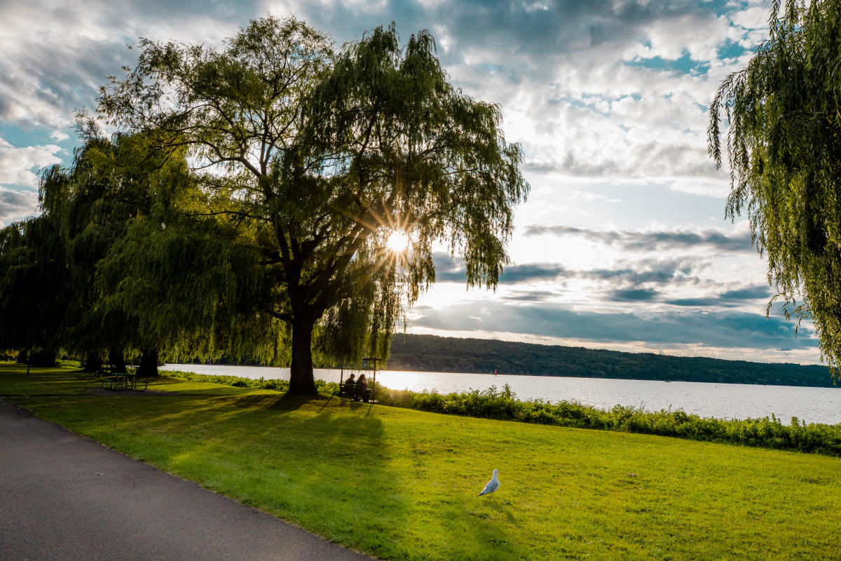 Stewart Park DC Landing Page