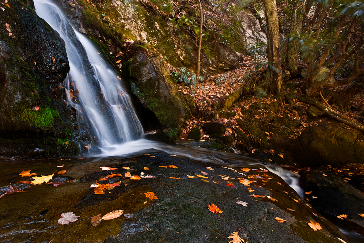 Great_Smoky_Mountains_National_Park_blog_f2aeafc2-8bf6-43fc-8135-17ebc7b72d74